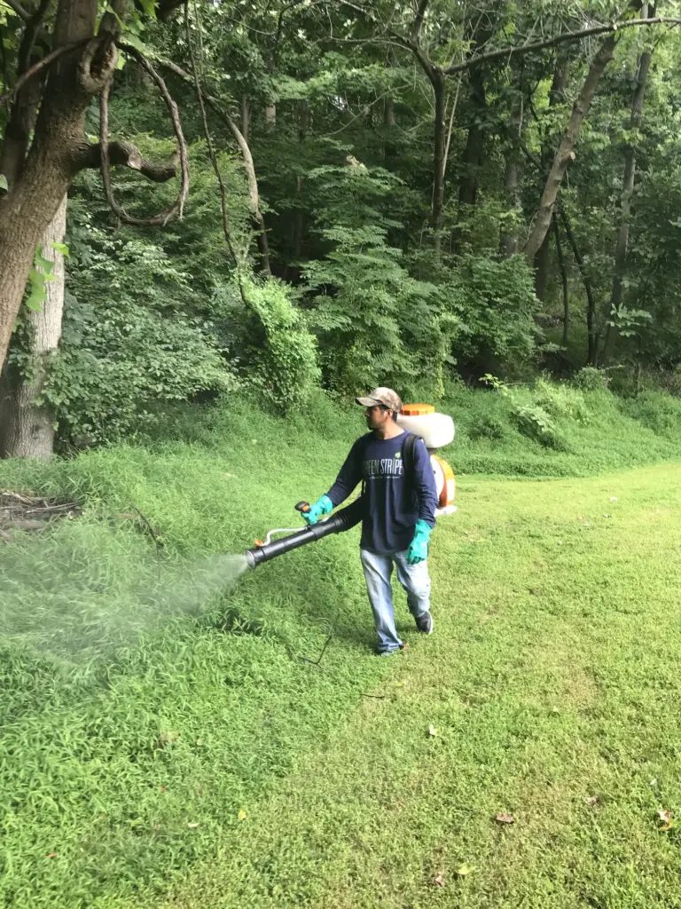 A GreenStripe employee applying MosquitoMist