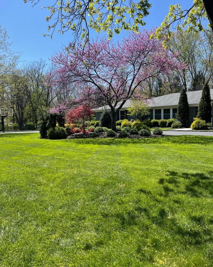 Lawn Care services in New Jersey